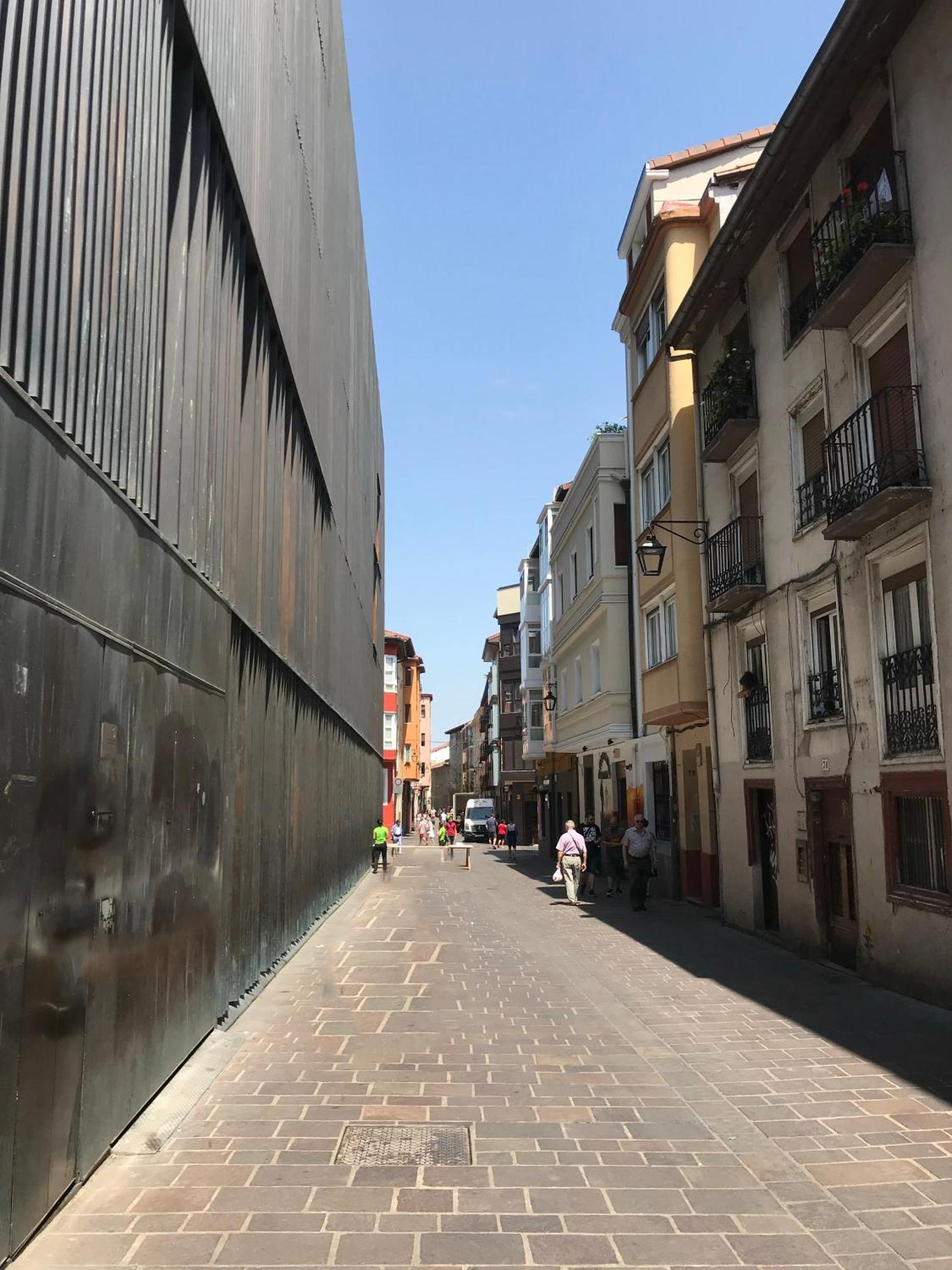 Luxury Pintoreria Atico Vitoria-Gasteiz Ngoại thất bức ảnh